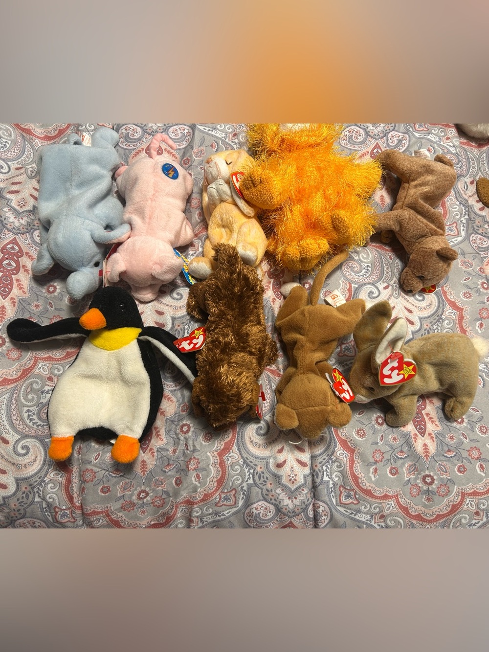 Ty animal bundle